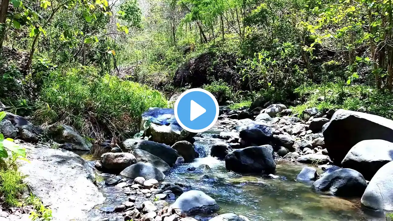 10 hours Calm River Flow ASMR – Natural Sleep Aid