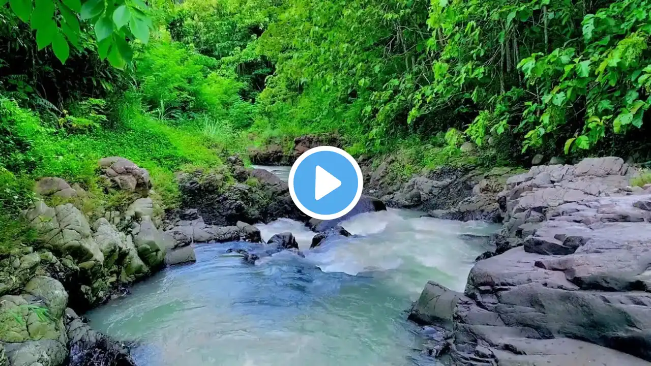 Beautiful Secret River Escape | Peaceful Water Sounds |  Serene River For A Peaceful Morning