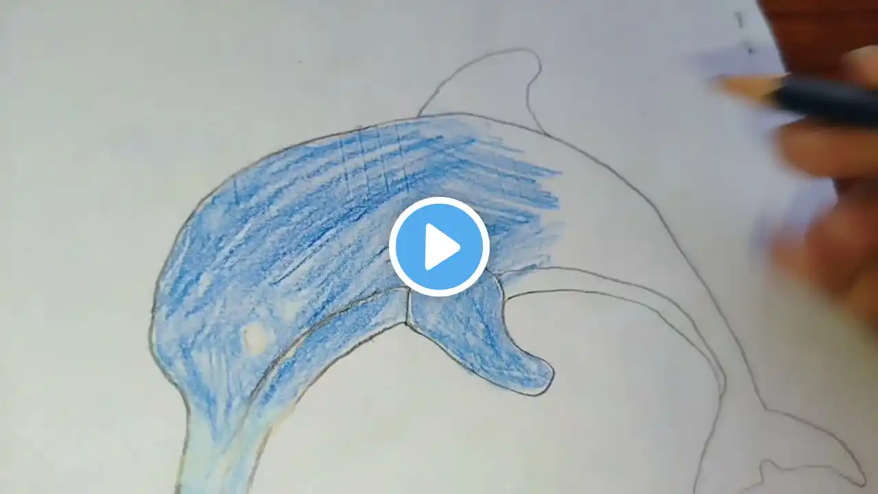 How To Draw A Dolphin Step By Step , drawing, Dolphin Drawing Easy, easy drawing,sea animals drawing