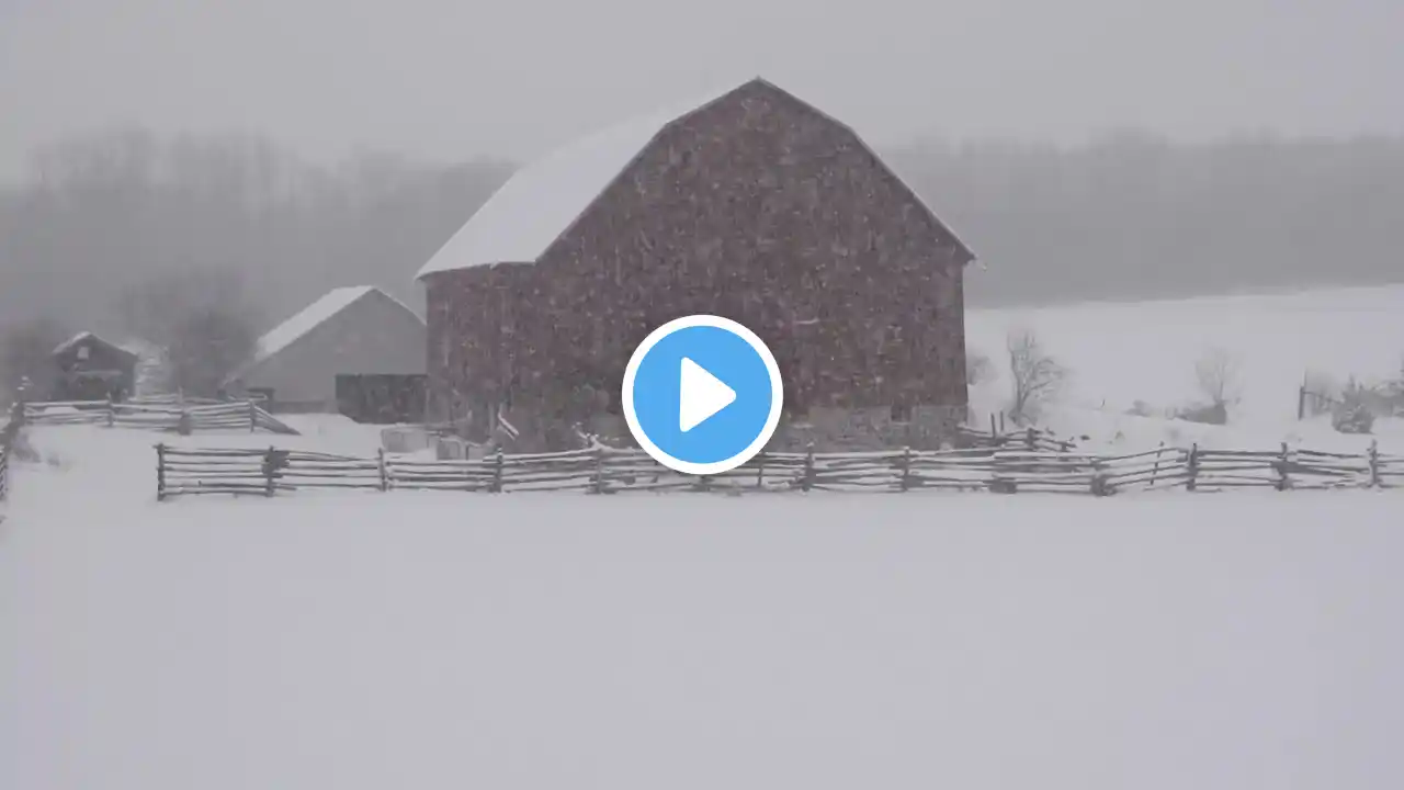 Scary snowstorm blizzard sounds for sleeping and relaxing | winter ambience howling wind sounds