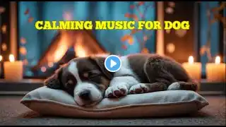 12 HOURS of Relaxing Music For Dogs💖🐶Anti Separation Anxiety Relief🐶💖Pet music🎵 Deep Sleep🐶