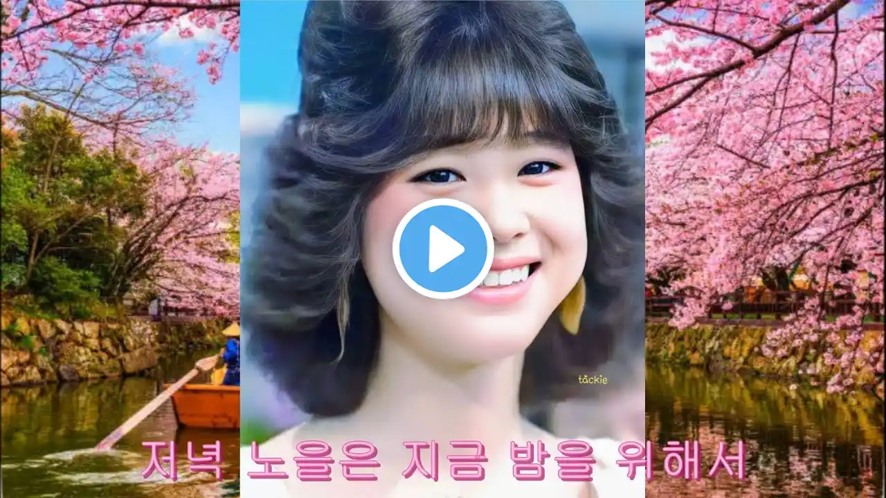 松田聖子 チェリーブラッサム cover 마츠다 세이코 체리블라썸 커버 인천곰 남자보컬 한글자막 #체리블라썸 #松田聖子 #cherryblossom #마츠다세이코 #성자이모