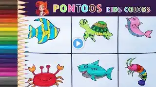 Learn how to Draw Sea Animals- Shark Fish Turtle and others- Glitter Art for preschool