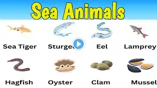 ABC Phonic animals ABC sea animals song  English and Animals for Kids Alphabet Letters kids song