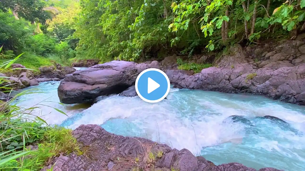 Soft Water Sounds of a Flowing River | Perfect for Sleeping & Relaxing