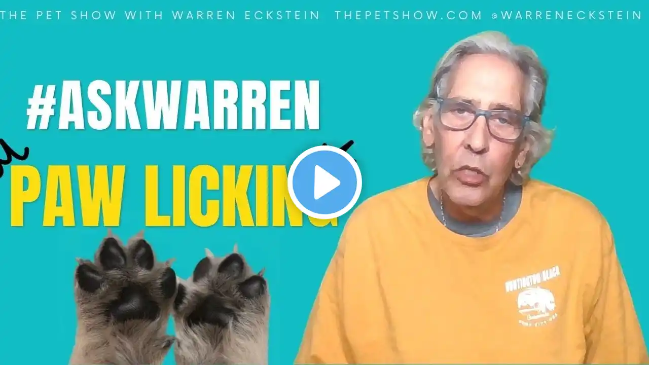 #ASKWARREN How Do I Stop My Dog From LICKING HIS PAWS?