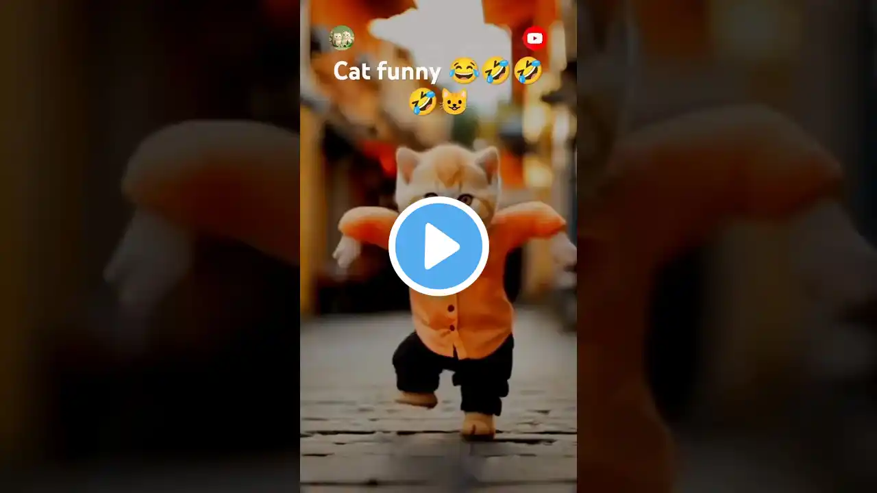 cat funny dance 😂| funny dance #funnycats #catvideos #catdance