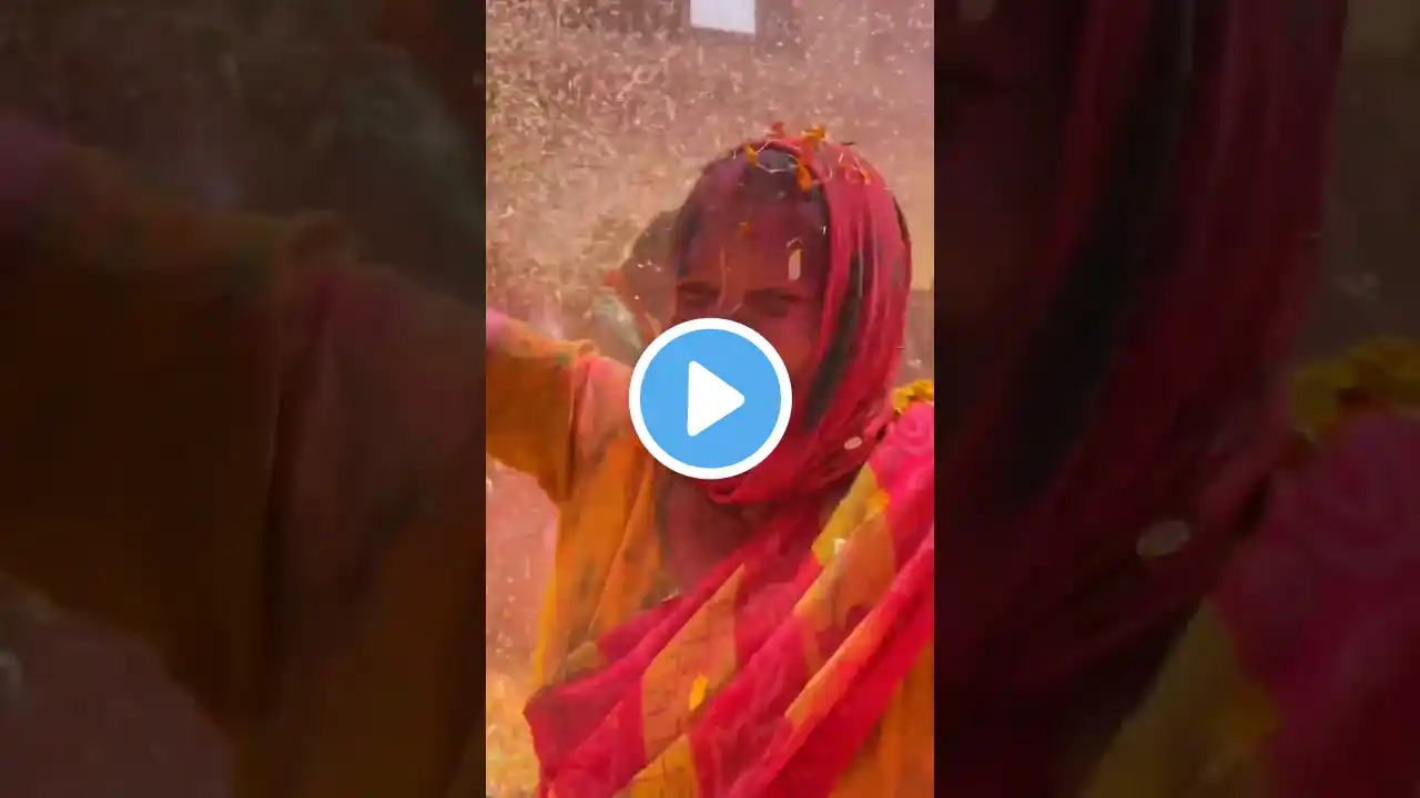 Holi celebration #love #song #holi #live #shorts