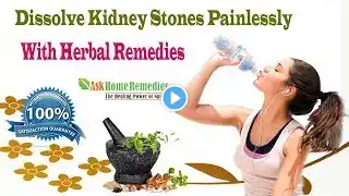 Dissolve Kidney Stones Painlessly With Herbal Remedies