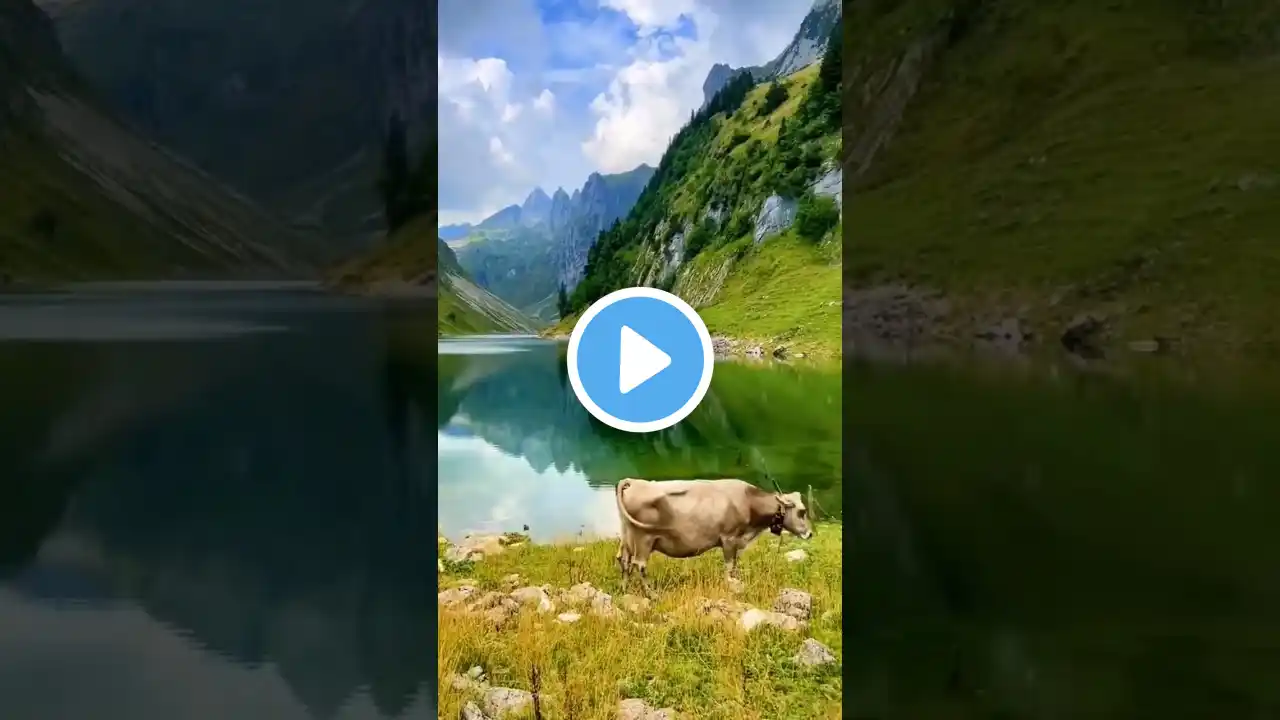 Heaven on earth ❤️ #switzerland #subscribe #trending #support #nature #viral #shorts