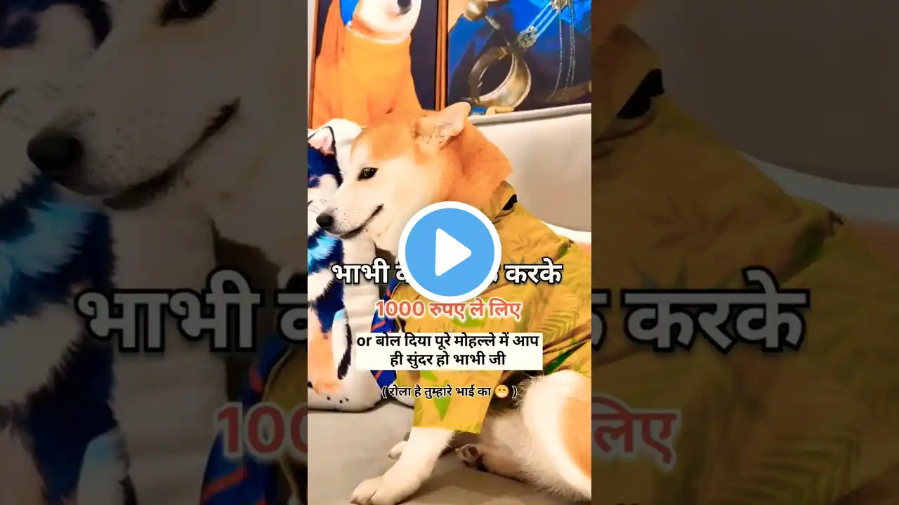 भाभी की तारीफ करके 1000 रुपए ले लिए | dog meme side eye | dog closing eyes meme #dailymemes  #memes