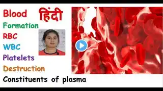 Blood anatomy & physiology in hindi || RBC || WBC || Platelets || composition of blood