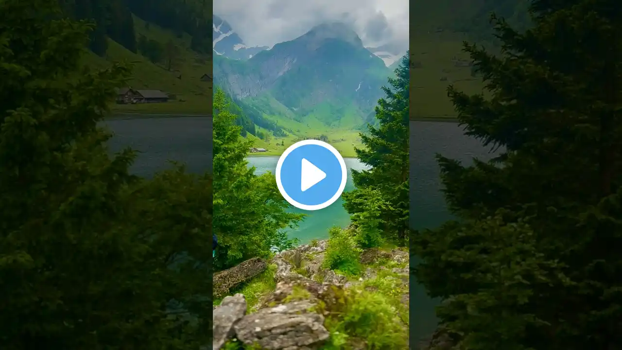 One of the best #lakes in #switzerland #seealpsee #shortvideo #viral #trending #youtube #travel