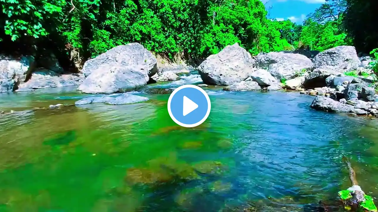 Peaceful River Flowing Sound - Gentle River, Calming Nature Sounds. White Noise for Sleep, Study.