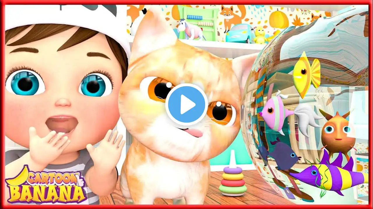 Kitty Cat Song 🐱 | Nursery Rhymes for Kids and Children | Banana Super coco  | #babysongs #66