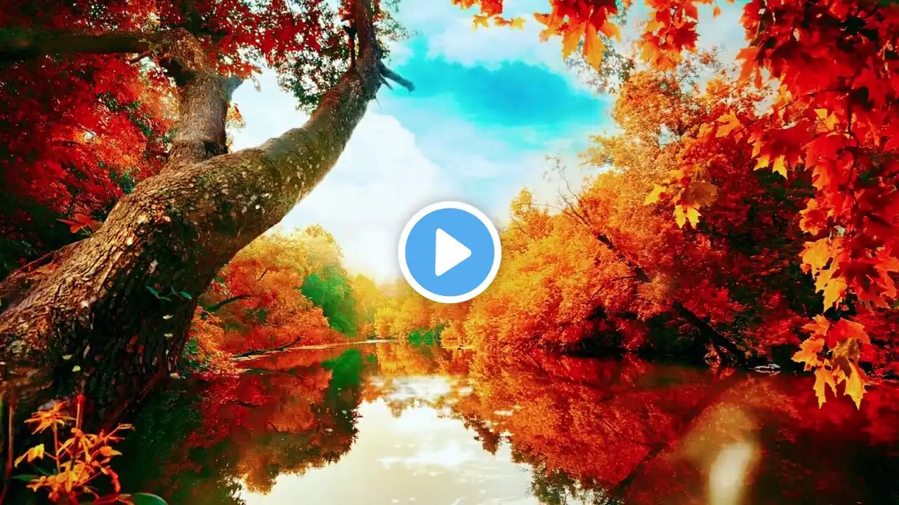 Butterflies River Trees 4K with Reflected Light Music Impulse Ambient Video 1 Hour Loop!!
