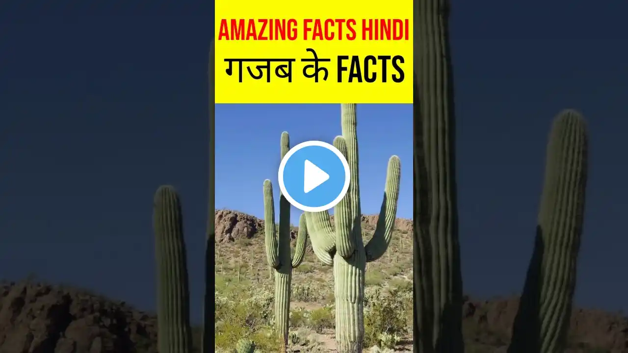 Amazing Hindi Facts😱 #facts #amanzingfacts #hindifacts #shorts #youtubeshorts #trending #viralshorts