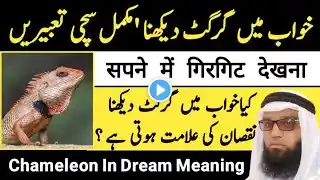 Khwab Mein Girgit Dekhna || chameleon In Dream Meaning || सपने में गिरगिट देखना