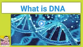 What is DNA