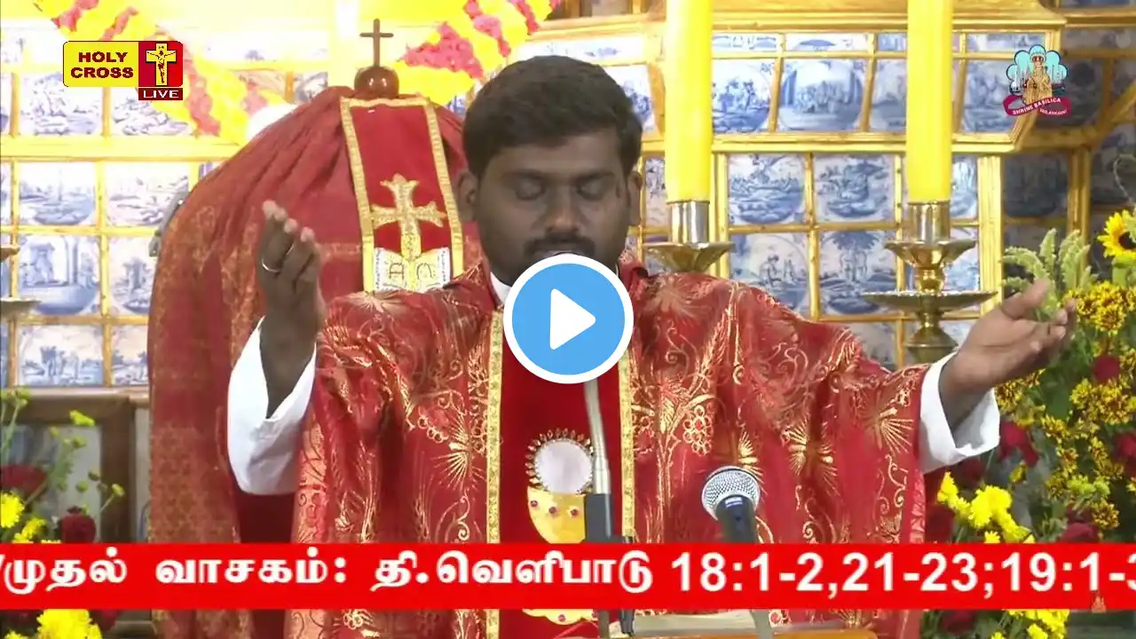 24 November 2022 - வேளாங்கண்ணி பேராலய திருப்பலி | Vailankanni Shrine Basilica Mass | Holy Cross Tv