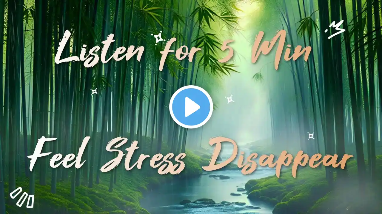 Rainy Bamboo Zen: Unlock Deep Relaxation in Nature’s Embrace