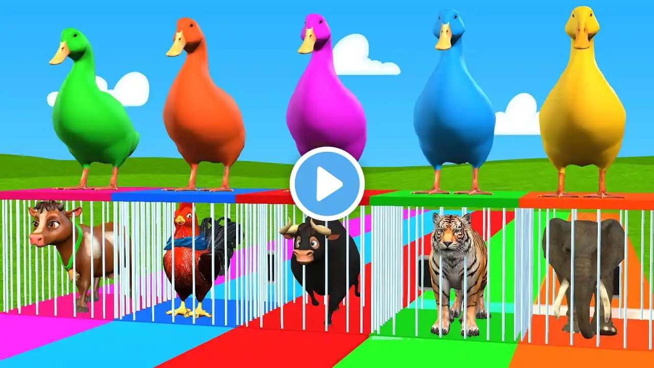 Cow Elephant Zebra Gorilla Hippo Guess The Right Key ESCAPE ROOM CHALLENGE Animals Cage Game