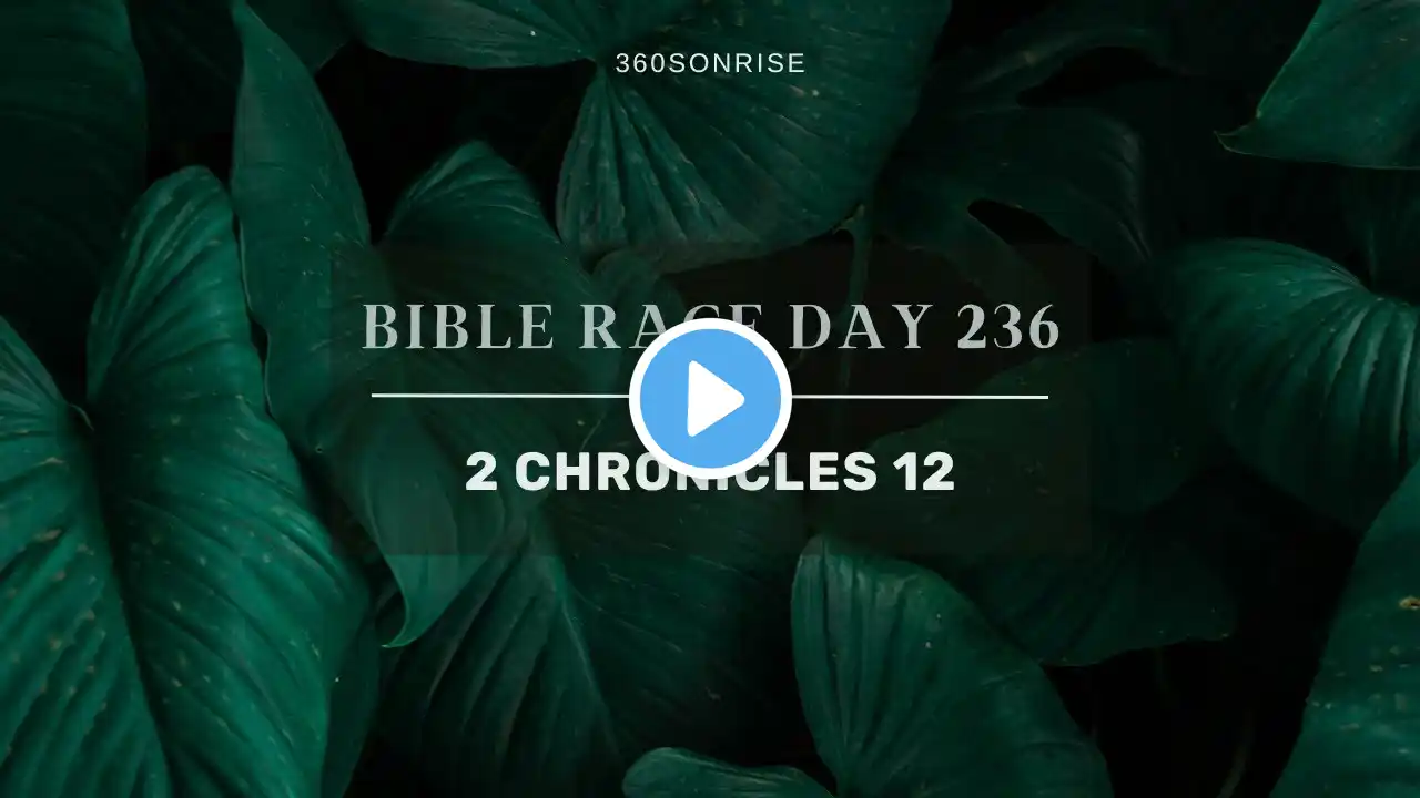 Bible Race 8/23/2024: Day236: 2 Chronicles 12