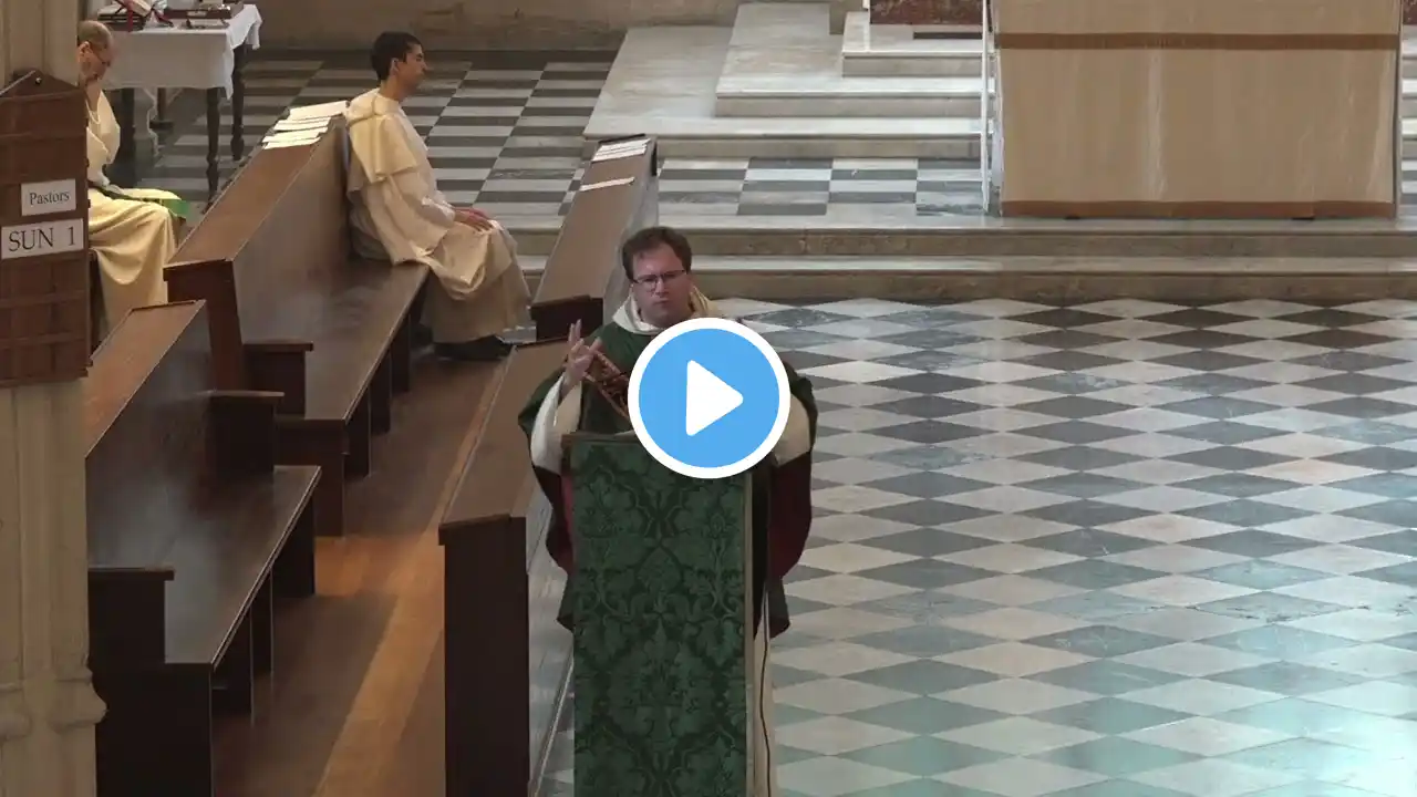 23rd Sunday in Ordinary Time - Fr Oliver Keenan OP