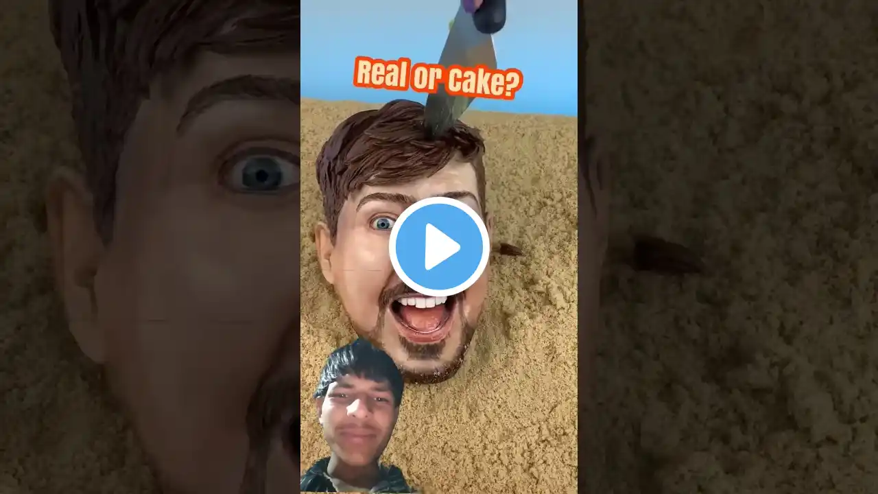 Cake Real or Fake Challenge 🎂🤯 | Mind-Blowing Illusions! #funny #cake #real #fake #shorts #mrbeast