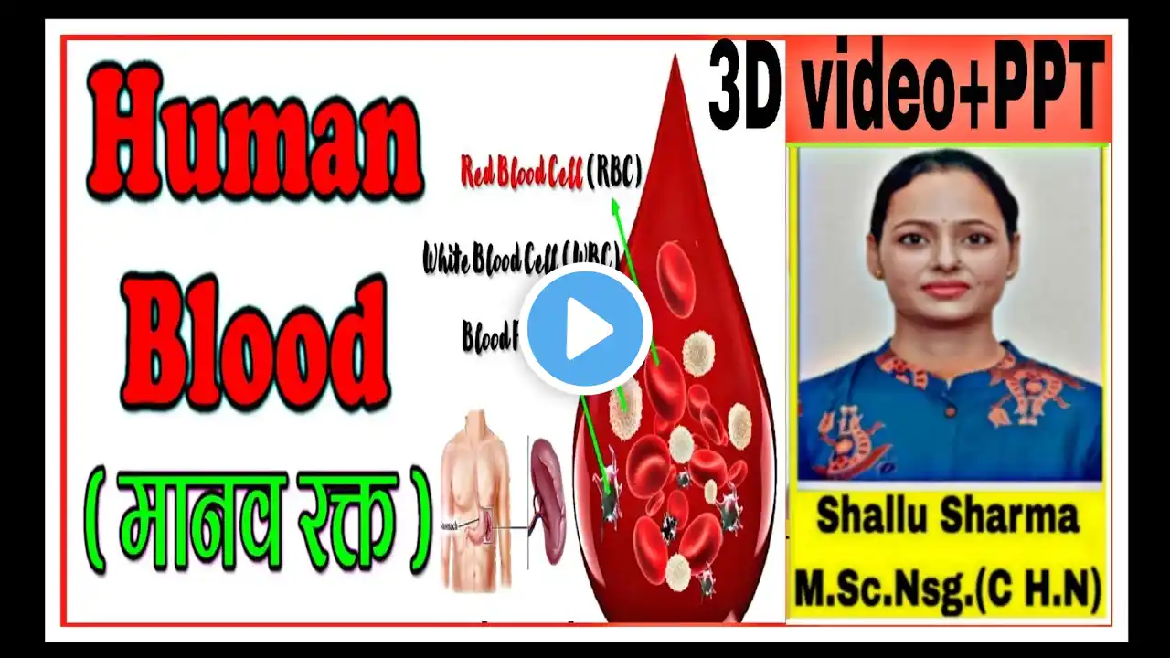 Blood|| Composition||RBCs||WBCs||Functions||Haemoglobin||खून कैसे बनता है ||खून क्या काम करता है||