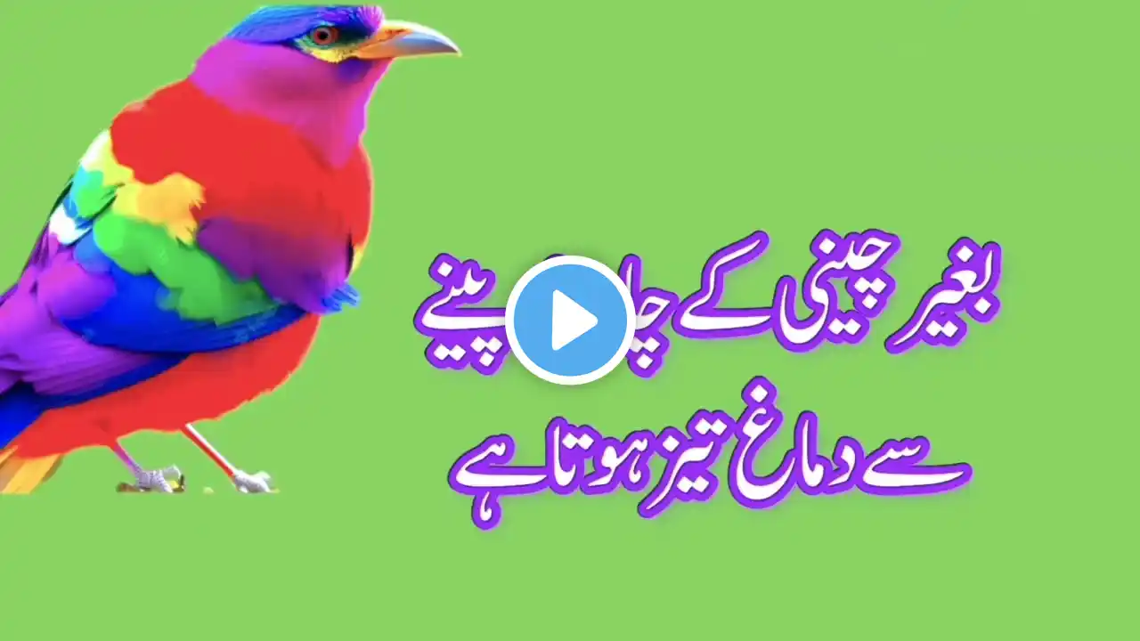 Asan gharelo totky | Totkay in urdu for health | today toky | Totky in urdu@AbdulHadi129-ee7gz