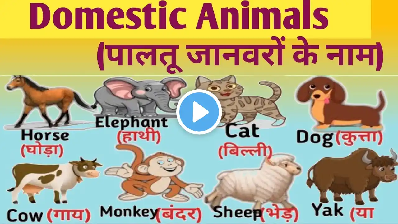 DOMESTIC ANIMALS l Learn domestic animals name hindi & english l पालतू जानवरों के नाम l