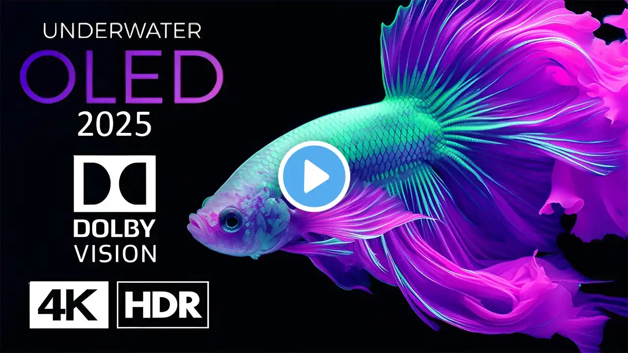 Amazing Underwater OLED Demo 4K 60 FPS HDR Dolby Vision (4K Video)