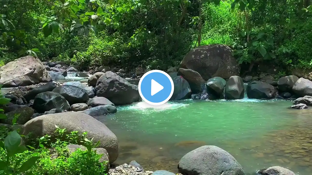 Calming River Sounds | Gentle Water Flow for Deep Sleep & Relaxation