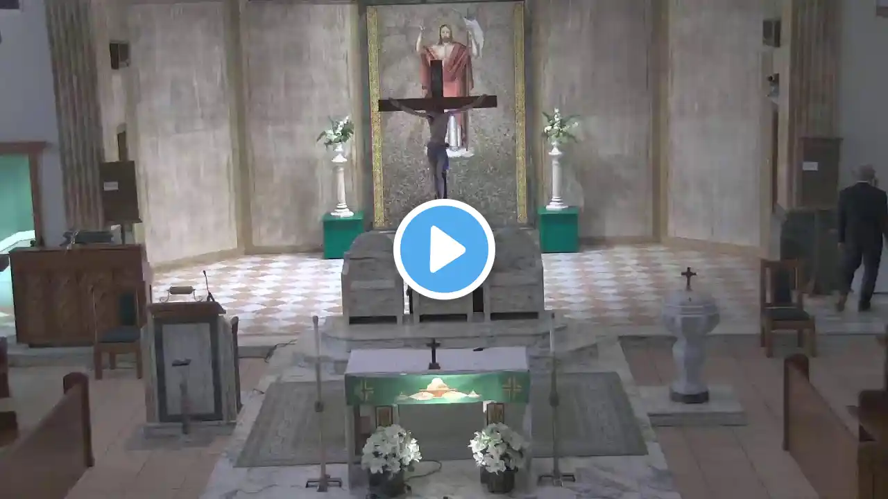 St. Jude Shrine 11:30 am Mass and Novena 7.23.23