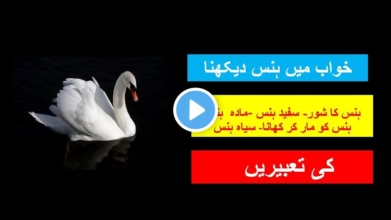 KHWAB MEIN HANS DEKHNAY KI TABEER | DREAM OF SWAN MEANING | خواب میں ہنس دیکھنا