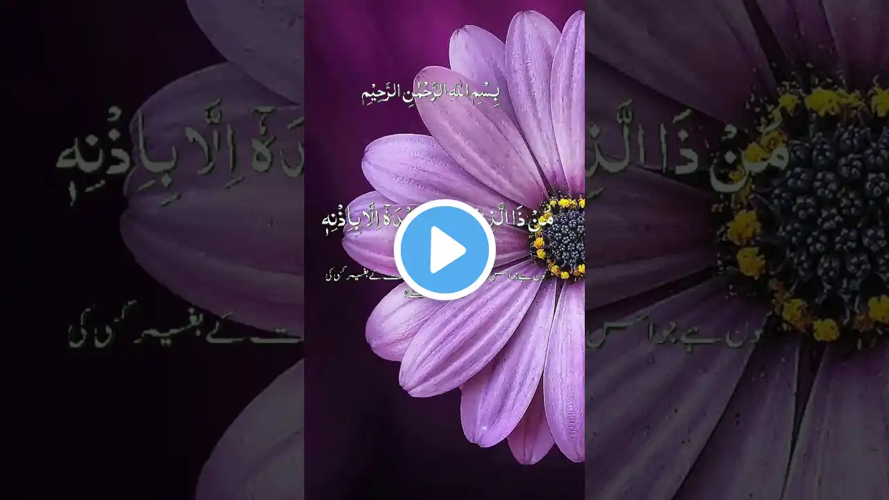 Ayatul kursi آیت الکرسی sheikh Abdul Rahman Al shuraim full paling merdu