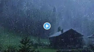 Rain Sounds for Sleeping   Sound of Heavy Rainstorm & Thunder in the Misty Forest At Night 1