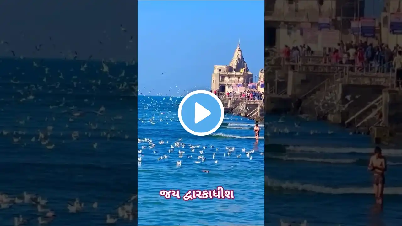 🦚દ્વારકાધીશ દર્શન🦚 #shorts #shortvideo #shortsfeed #viralvideo #trending #ytshorts #dwarka #krishna