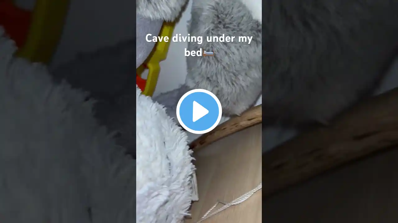 POV: you go cave diving #cavediver #gg #ripme #stuck #bed #cave