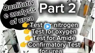 Qualitative analysis test For Urea Part 2🧪|practical | organic chemistry