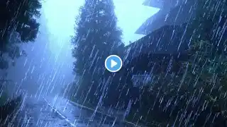 🔴Rain Sounds For Sleeping - 99% Instantly Fall Asleep With Rain And Thunder Sound At Night