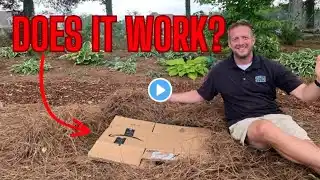 The TRUTH About Using Cardboard in your Landscape