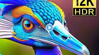 8k World's Most Beautiful Video: Best 8K Video ULTRA HD (8K HDR) 120 FPS