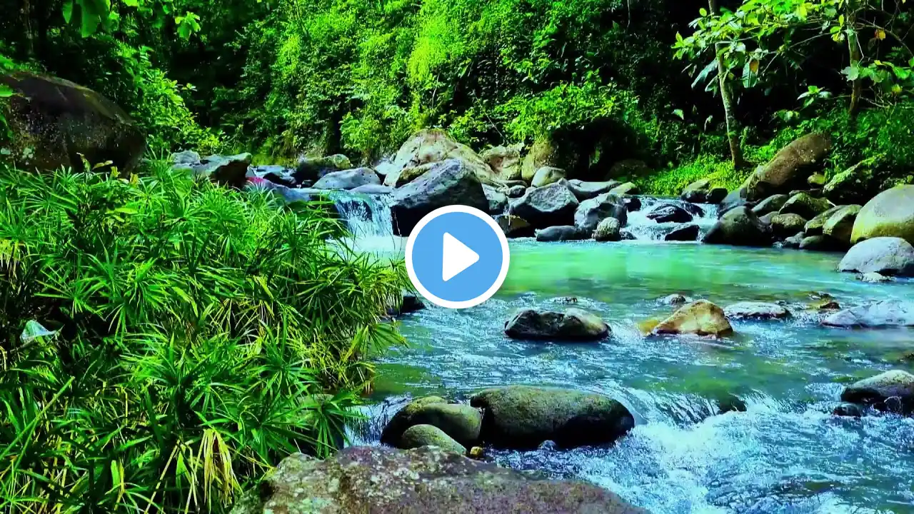 ASMR River & Bird Sounds with Crystal Clear Water for a Natural Sleep Inducing Ambience