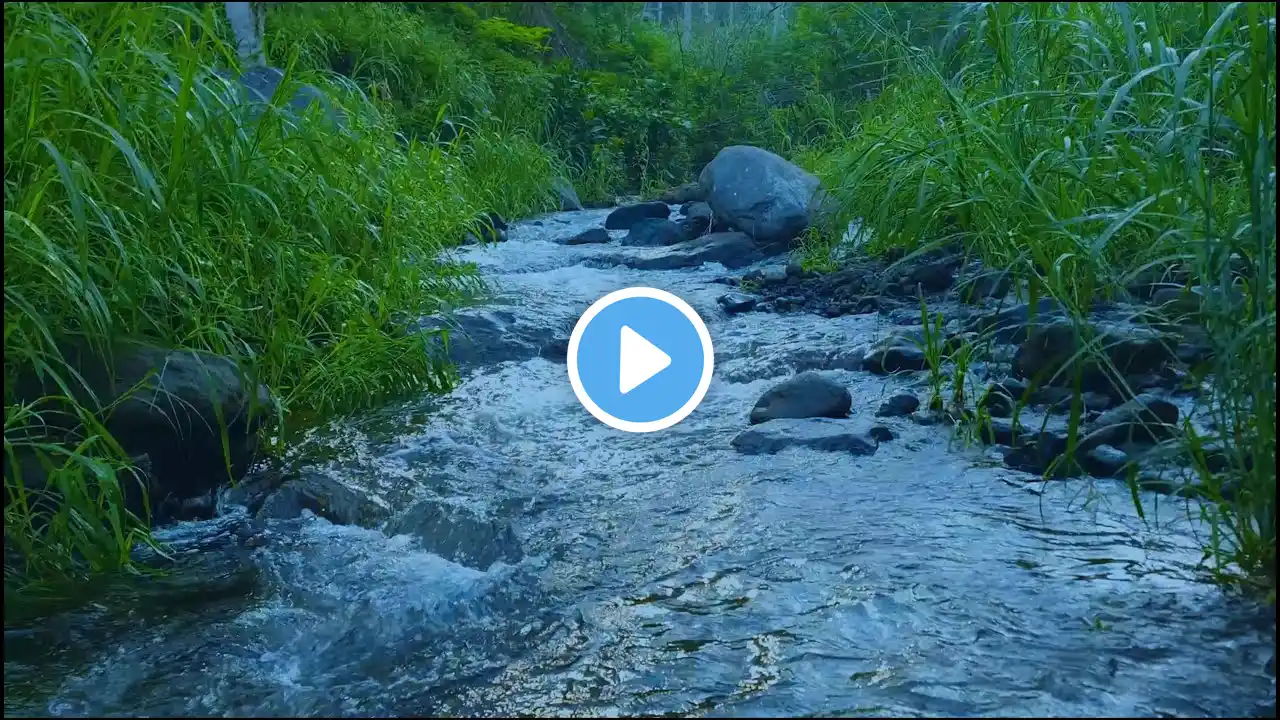 Meditation & Mindfulness: Calming Water Sounds for Inner Peace