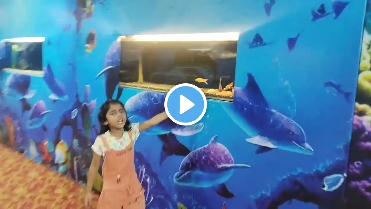 Jalpari Indore | Exotic Fish at Austin Aquatic Aquarium  | Beautiful Gold fish,  Gold Fish tank